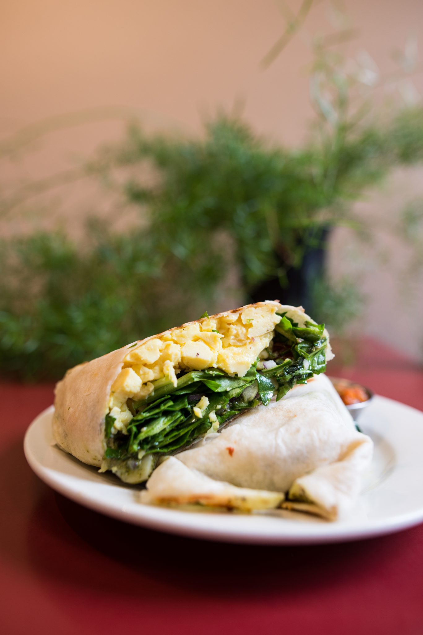 Traverse City’s Local Coffee Shop Traverse City Coffee Cafe Cuppa Joe