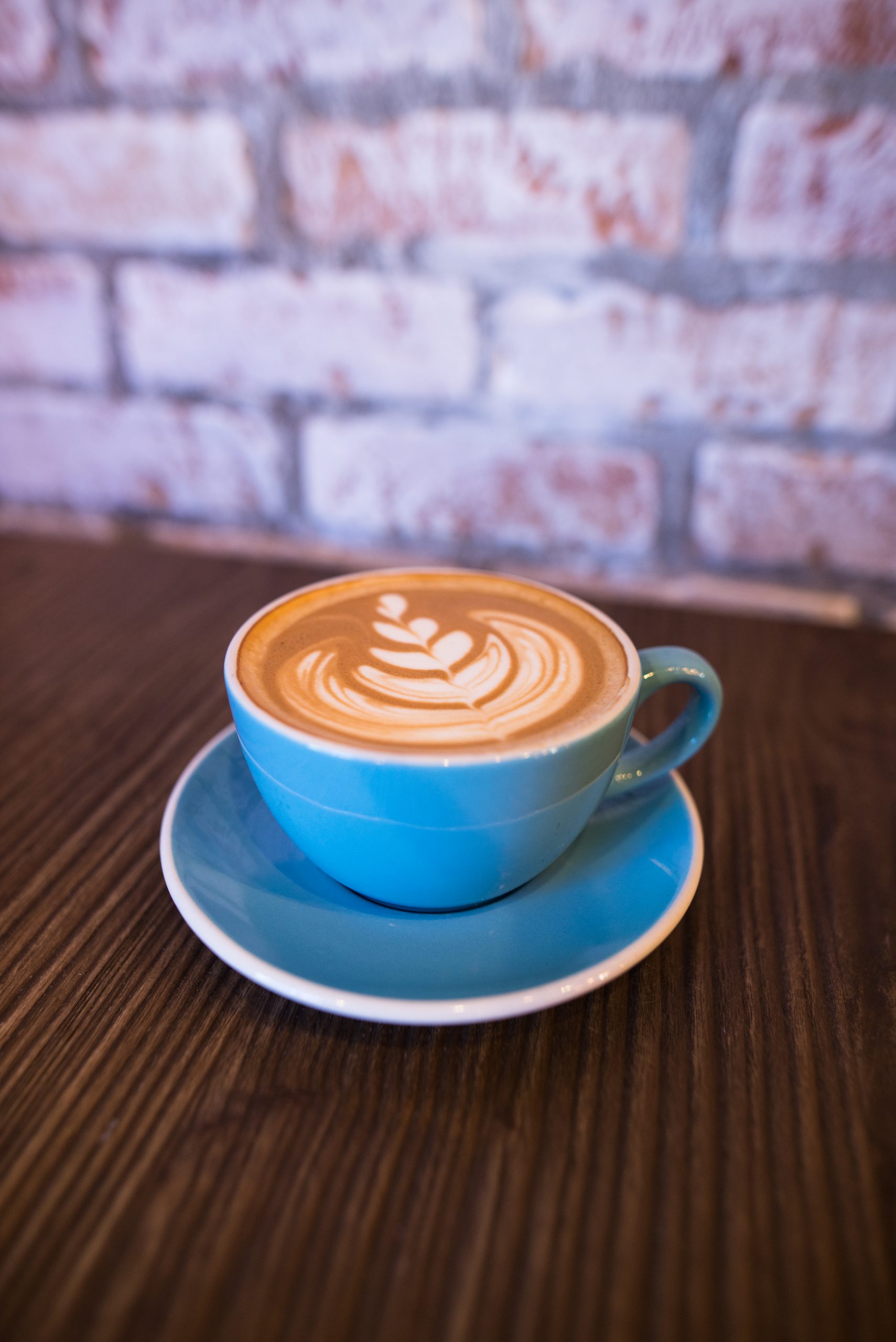 Traverse City’s Local Coffee Shop Traverse City Coffee Cafe Cuppa Joe